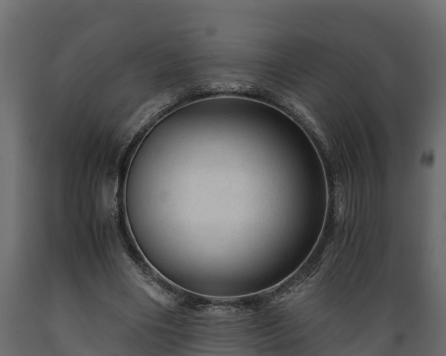 X0000089920490200707061022