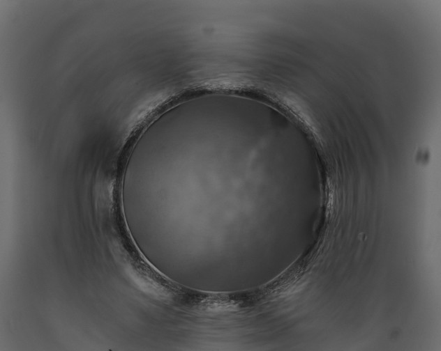 X0000089920491200707061022