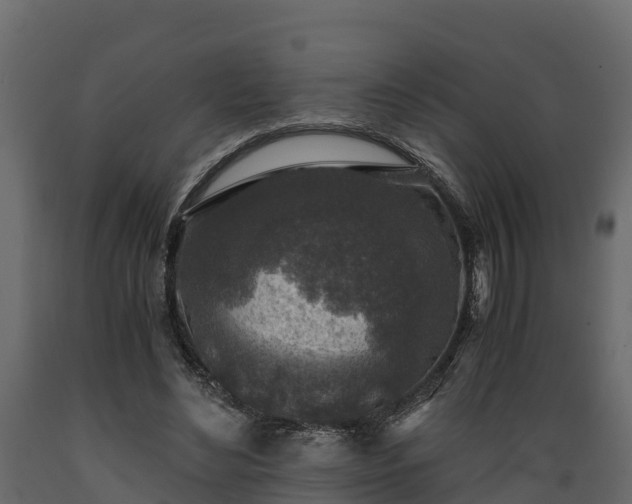 X0000089920492200707061022