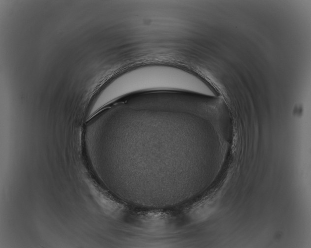 X0000089920493200707061022