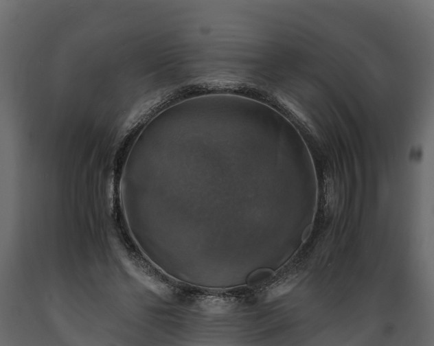 X0000089920494200707061022