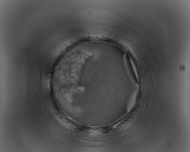 X0000089920495200707061022