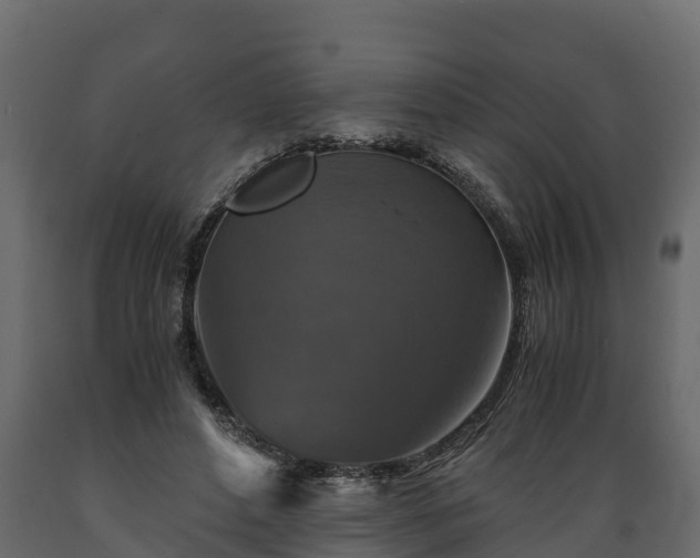 X0000089920496200707061022