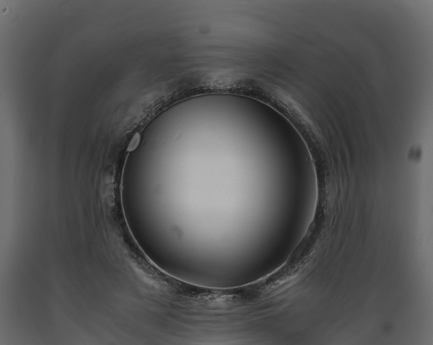 X0000089920497200707061022