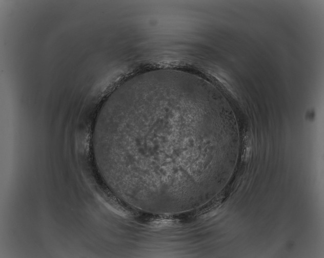 X0000089920499200707061022