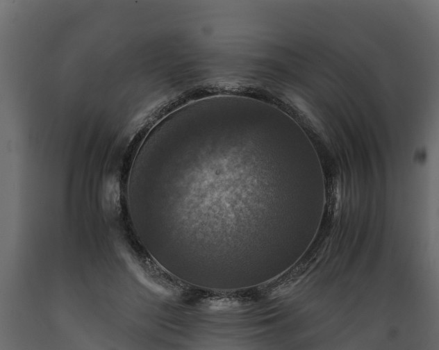 X0000089920500200707061022