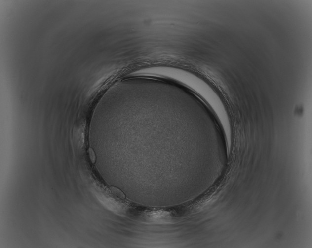 X0000089920501200707061022