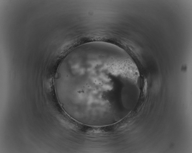 X0000089920503200707061022