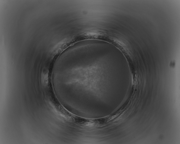 X0000089920504200707061022