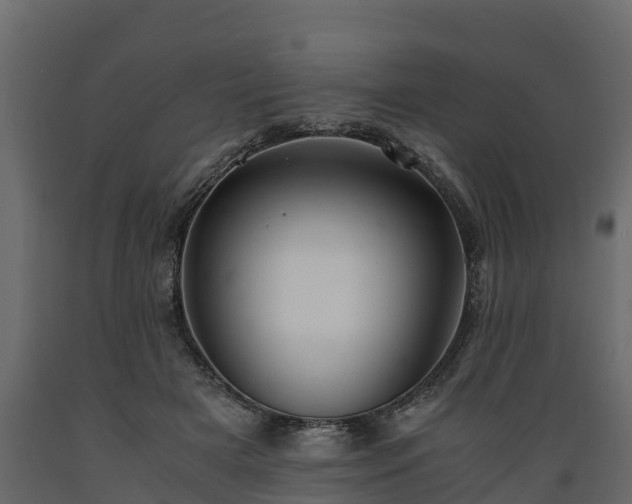 X0000089920505200707061022