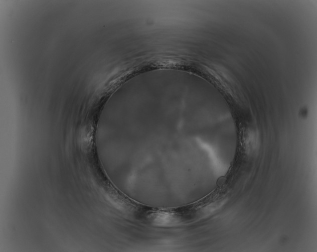 X0000089920507200707061022