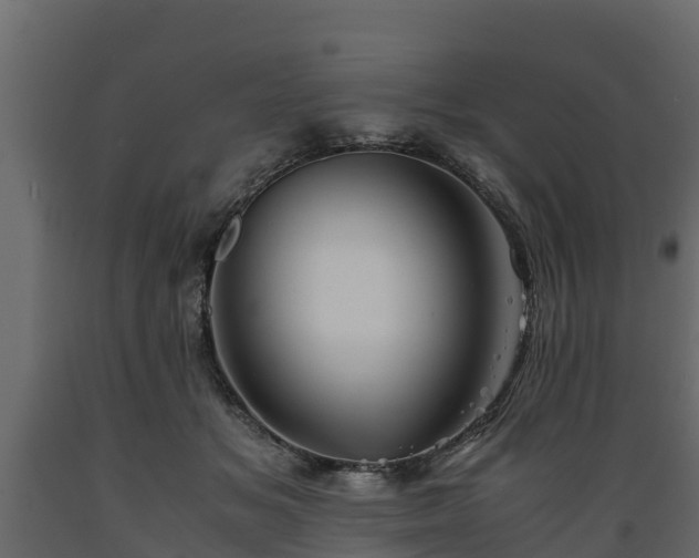 X0000089920509200707061022