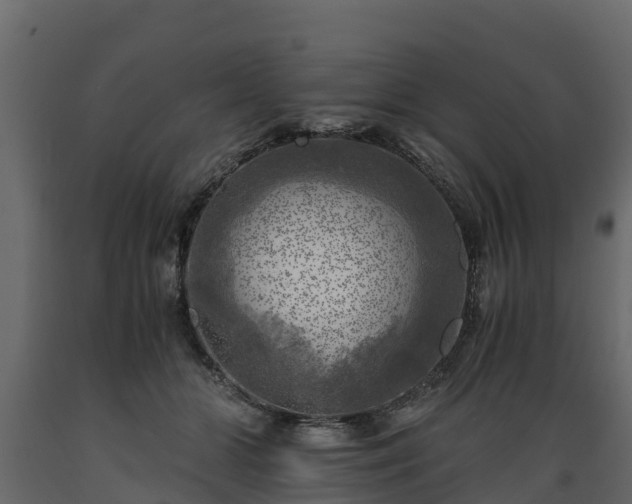 X0000089920510200707061022