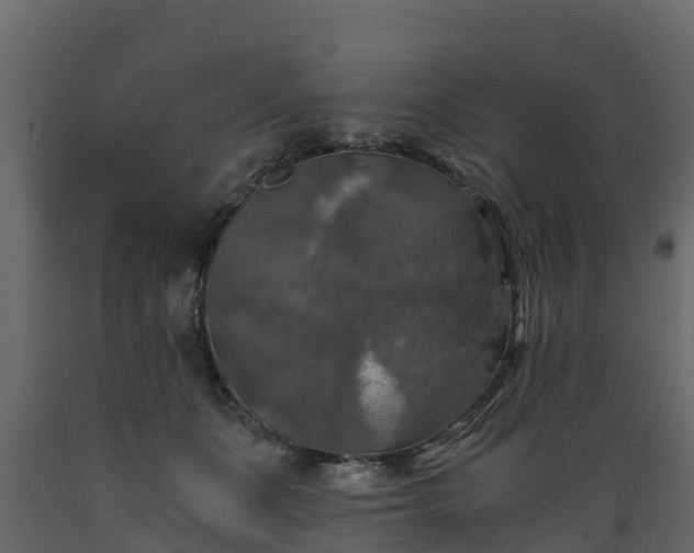 X0000089920511200707061022