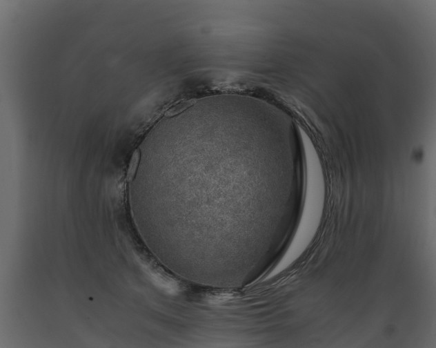 X0000089920513200707061022