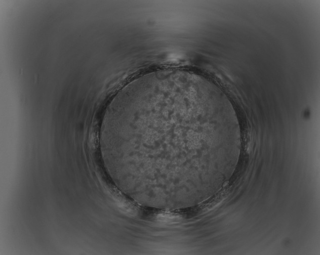 X0000089920515200707061022