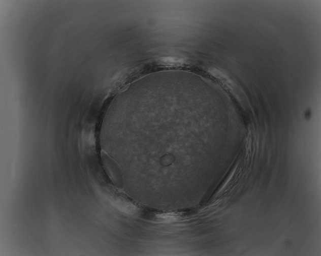X0000089920516200707061022