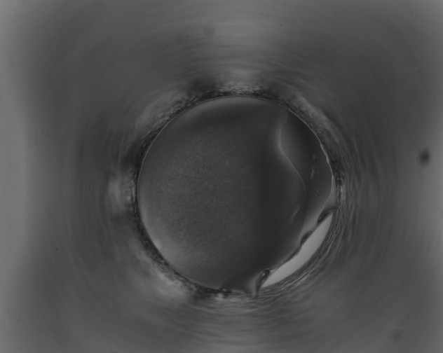 X0000089920517200707061022