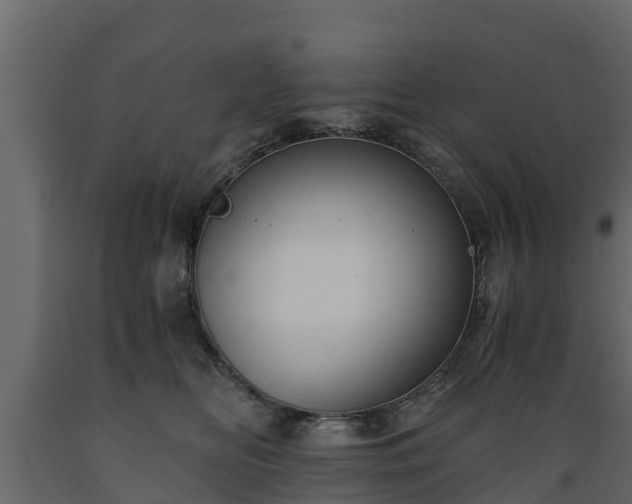 X0000089920518200707061022