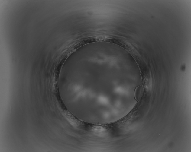 X0000089920519200707061022