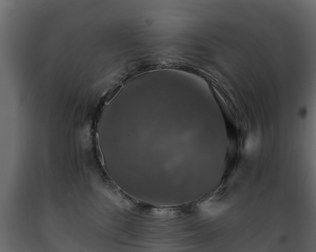 X0000089920520200707061022
