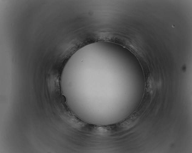 X0000089920522200707061022