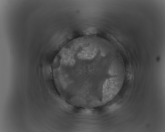 X0000089920523200707061021