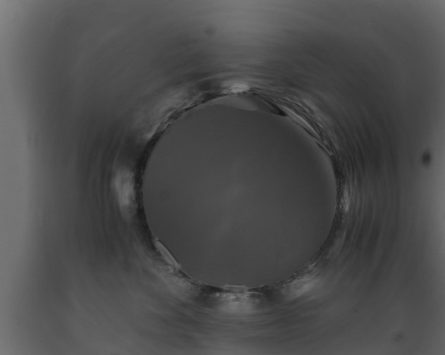 X0000089920524200707061021