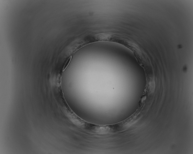 X0000089920525200707061021