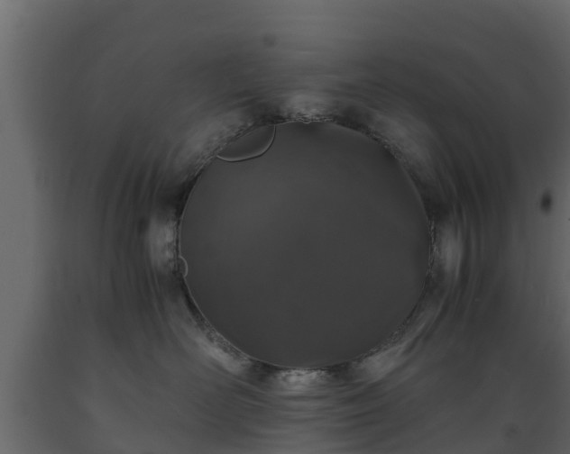 X0000089920526200707061021
