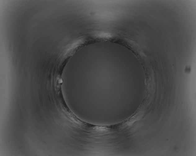 X0000089920528200707061021