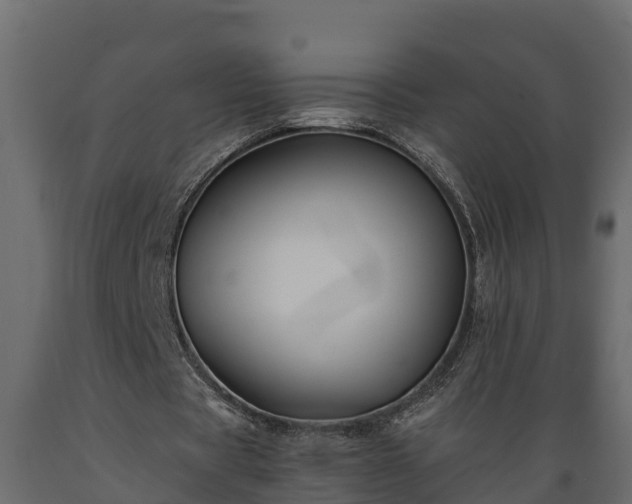 X0000089920529200707061021