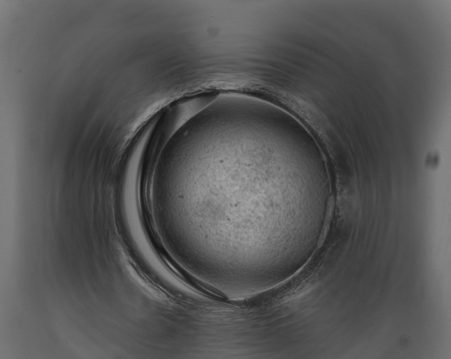 X0000089920530200707061021