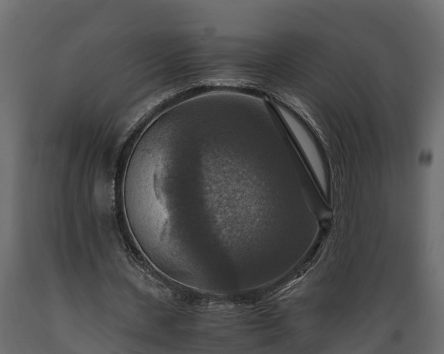 X0000089920531200707061021