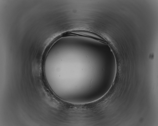 X0000089920532200707061021