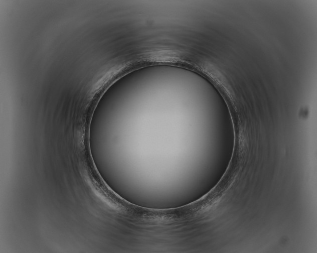 X0000089920533200707061021