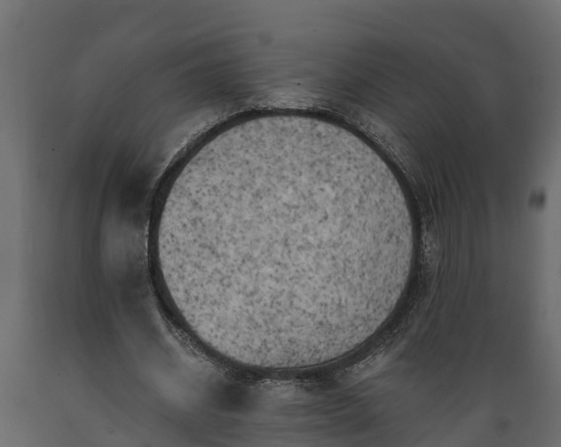 X0000089920534200707061021
