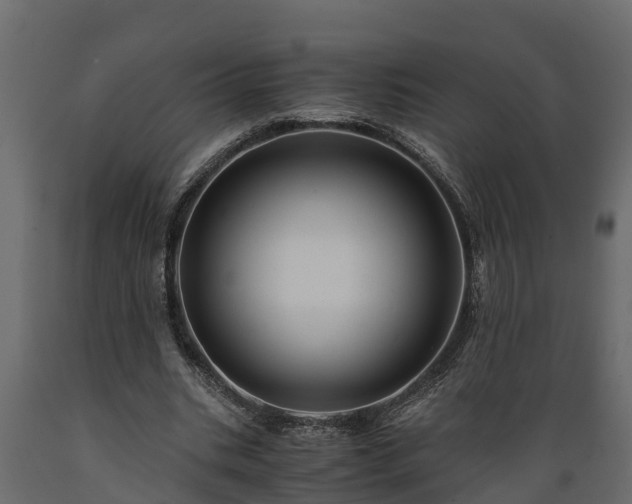 X0000089920535200707061021