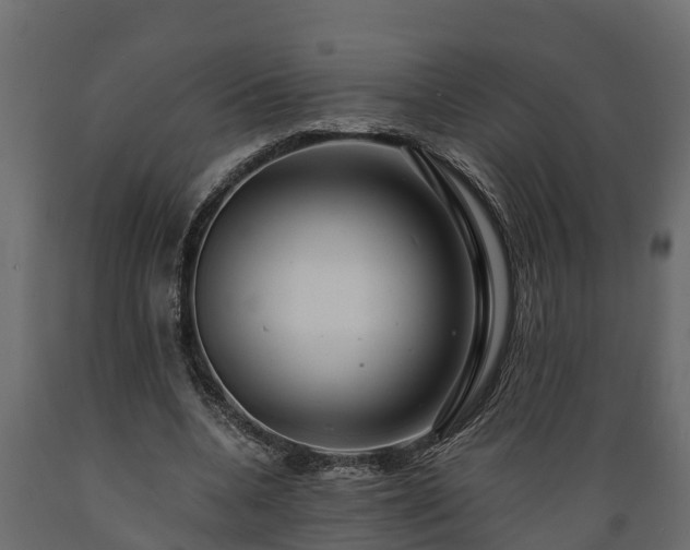 X0000089920536200707061021