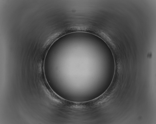 X0000089920537200707061021