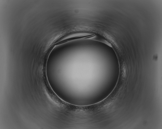 X0000089920538200707061021