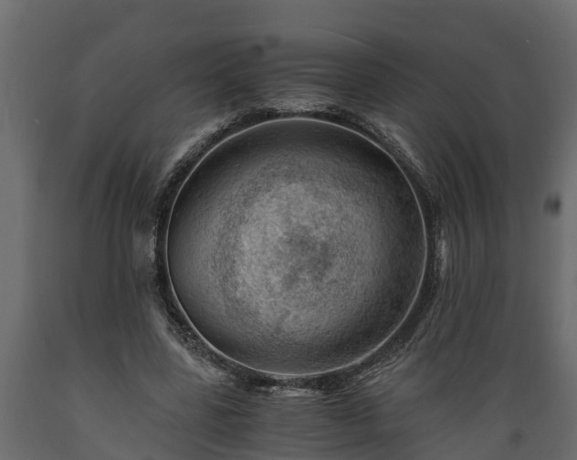 X0000089920539200707061021