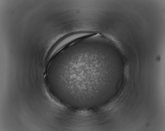 X0000089920540200707061021
