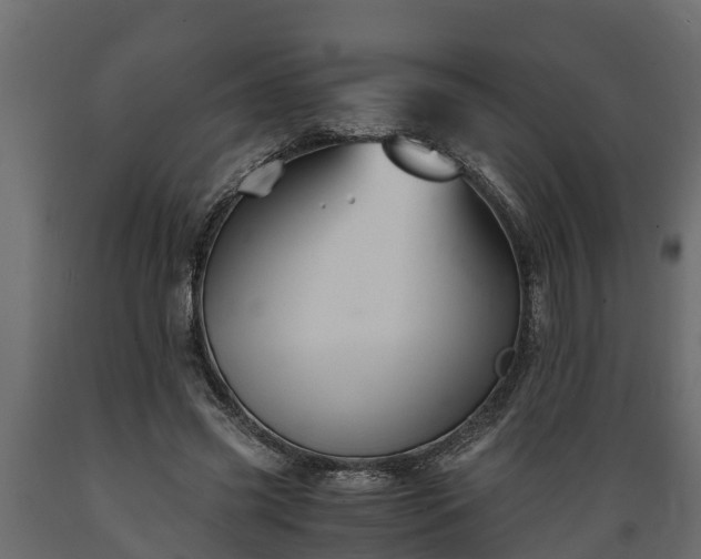 X0000089920541200707061021