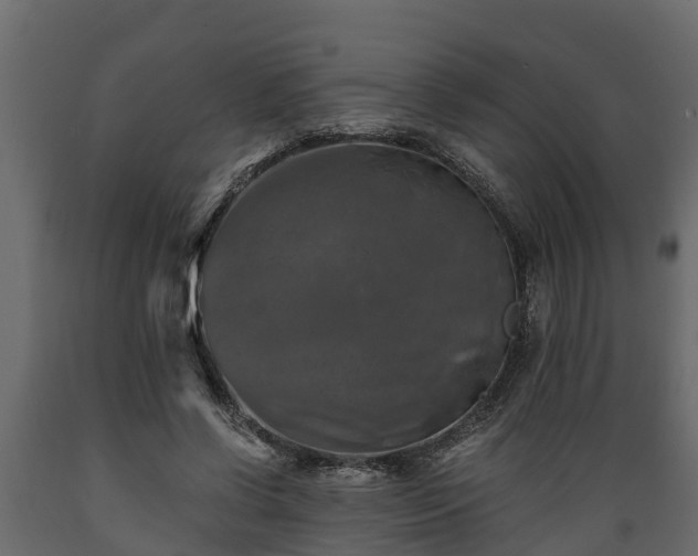 X0000089920542200707061021