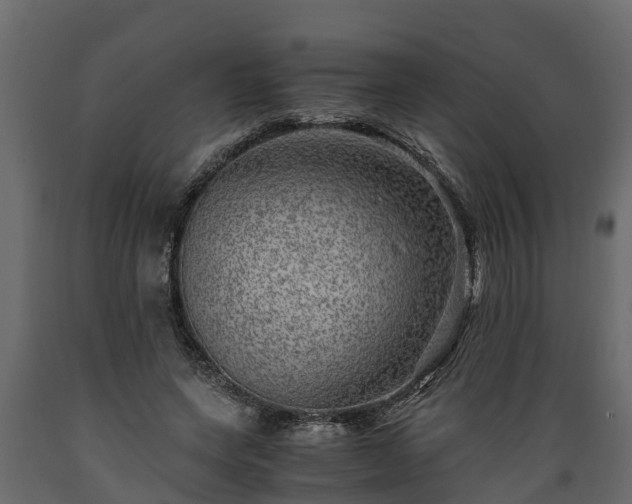 X0000089920543200707061021