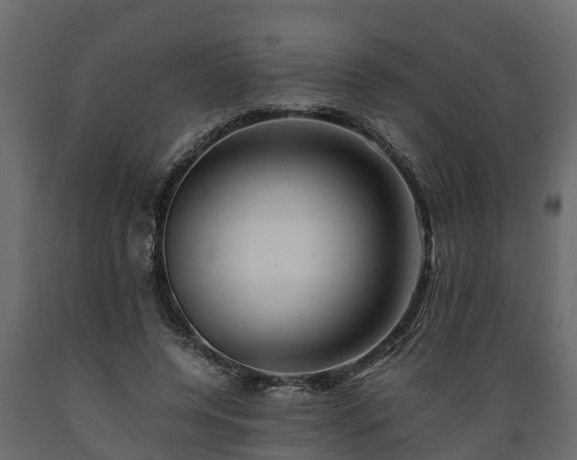X0000089920544200707061021
