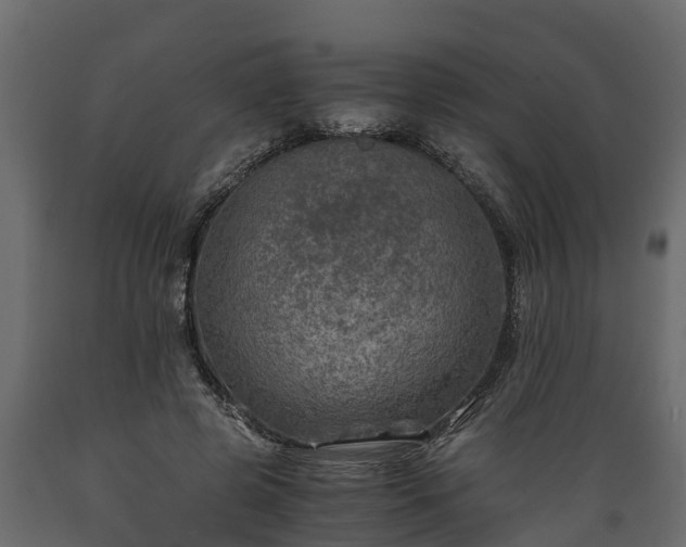 X0000089920545200707061021