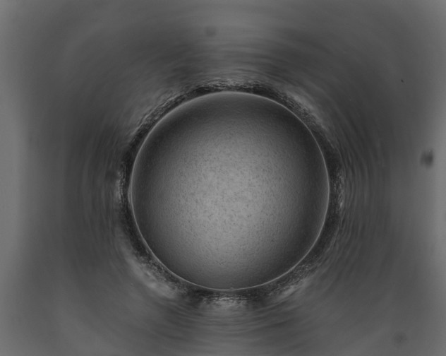 X0000089920546200707061021