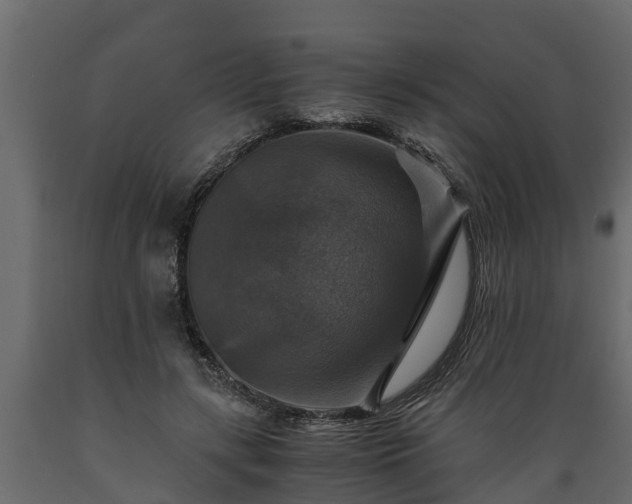 X0000089920547200707061021